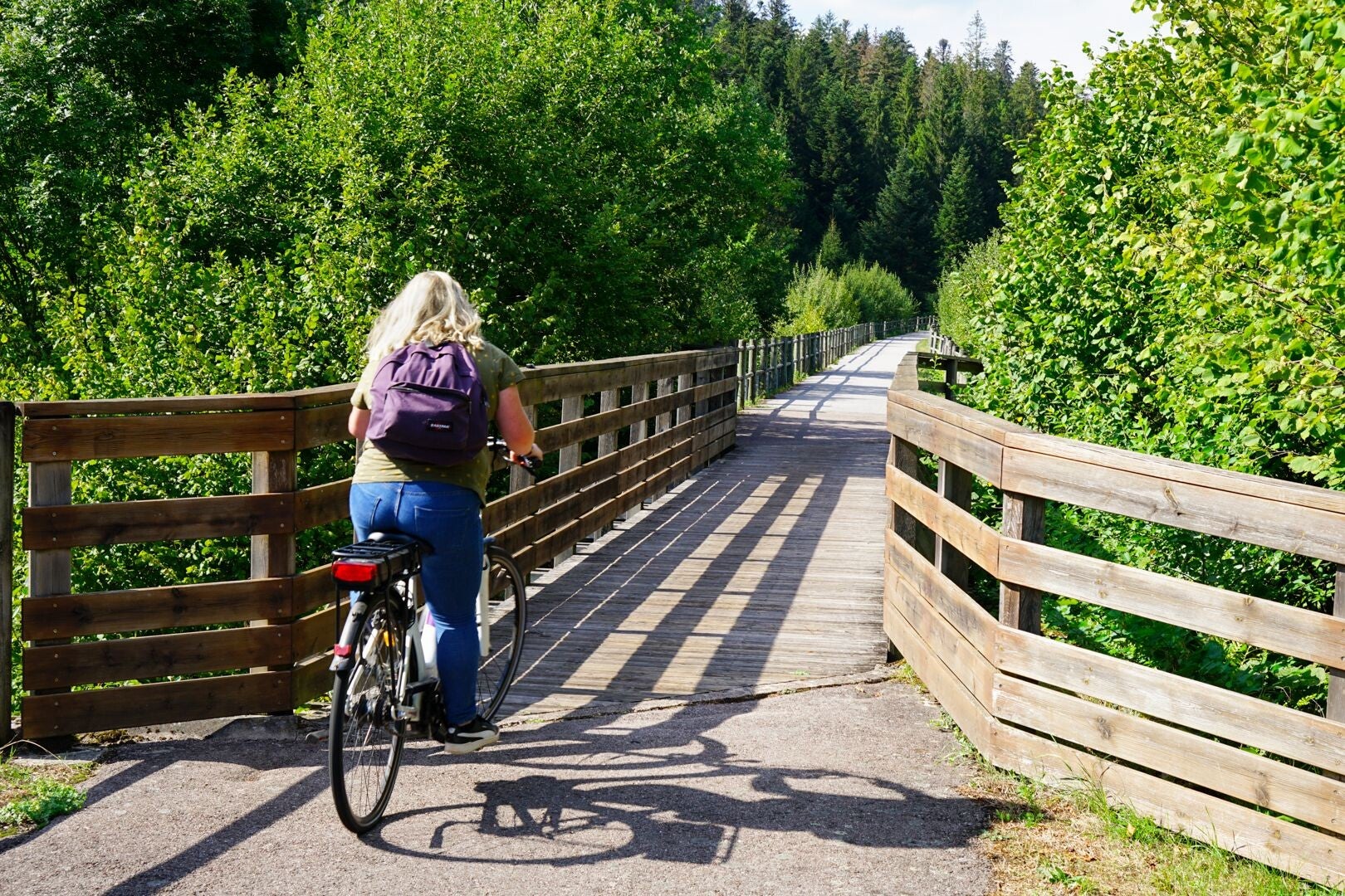 Randonnée et piste cyclable - nature préservée Vosges