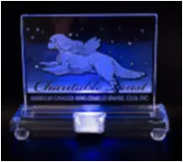 0056  2d crystal engraving 170 mm x 140mm x 50