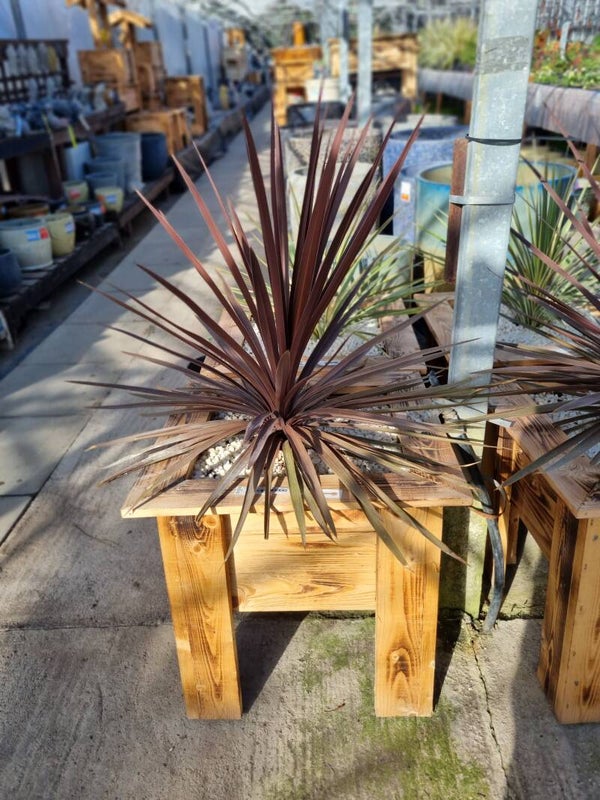 RANDA WESTERN RANGE  WOODEN PLANTER WITH CORDLINE