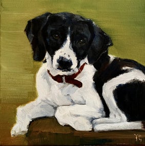 Olieverf schilderij van een zwart/witte hond met een rode halsband. De hond ligt op een verhoging en kijkt je recht aan #hondenschilderij #schilderopdracht