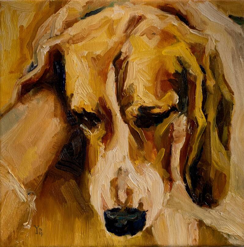 kunstwerk van een langoorige hond die lekker achter zijn oor wordt gekrabbeld