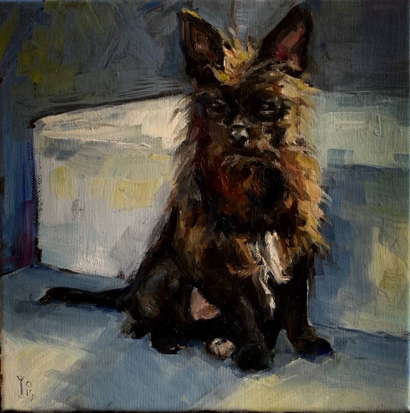 Heel klein langharig teefje. geschildert met een mooie lichtval. Het diertje zit op een  stenen trap.