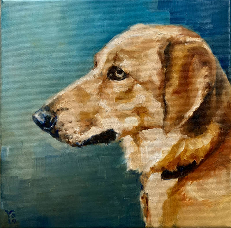 #hondenschilderij #schilderopdracht