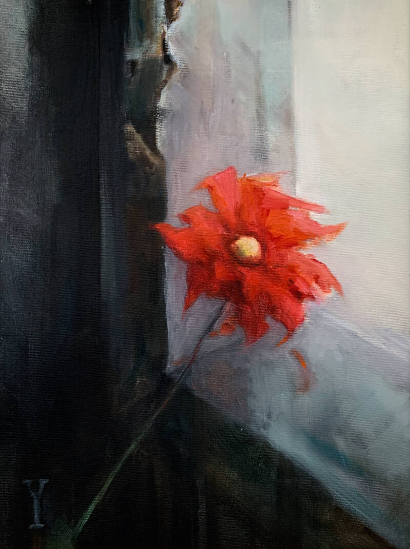 Een bloem, een papaver, die naar het licht die naar het licht reikt dat door een kozijn valt.