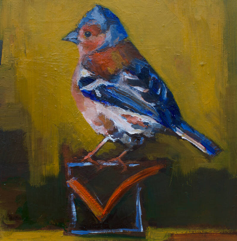 een mannetjes vink die op een afgevinkt vierkant is geland