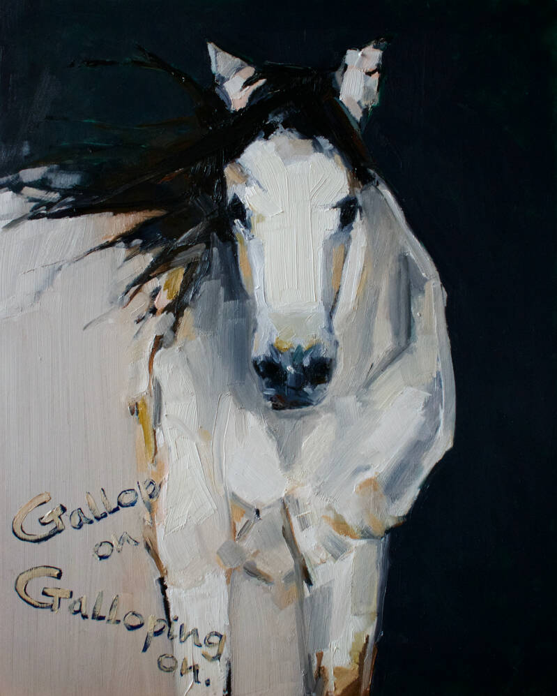 Een wit paard dat vanuit het donker op je af komt galopperen