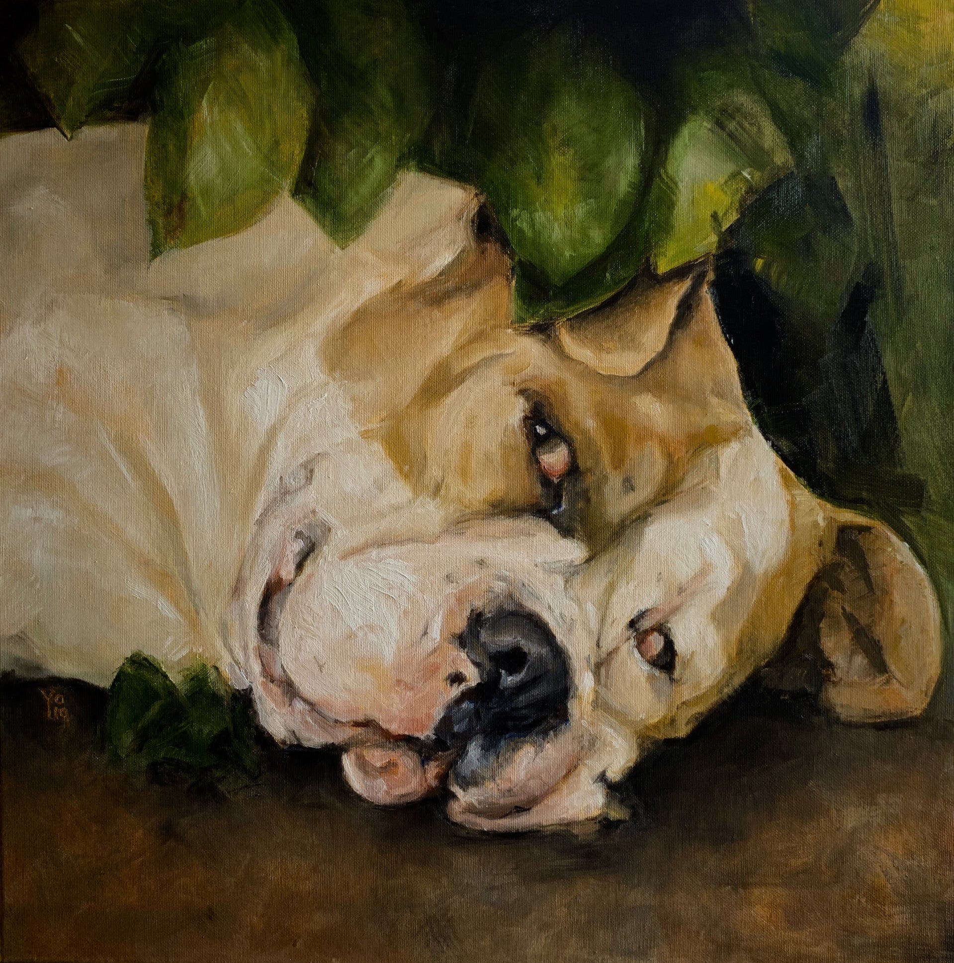 #American_bulldog ##hondenschilderij #schilderopdracht