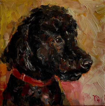 schilderijtje van een hond met mooie zwarte krullen en een rode halsband