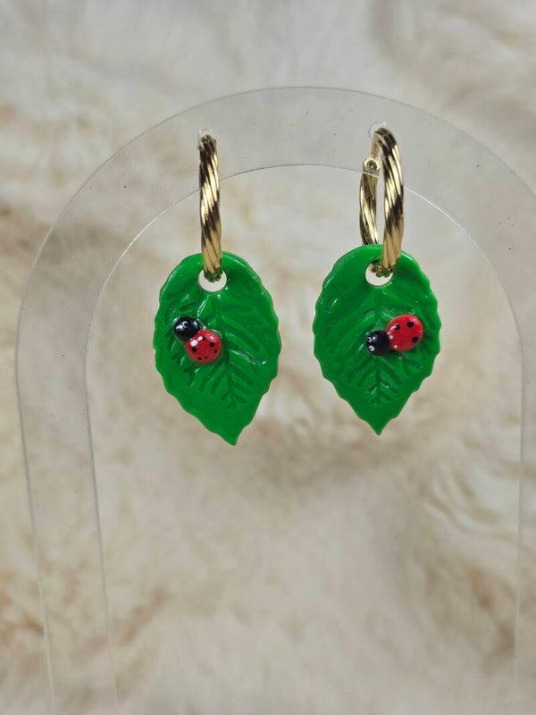 Feuille coccinelles