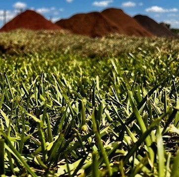 Website preview image