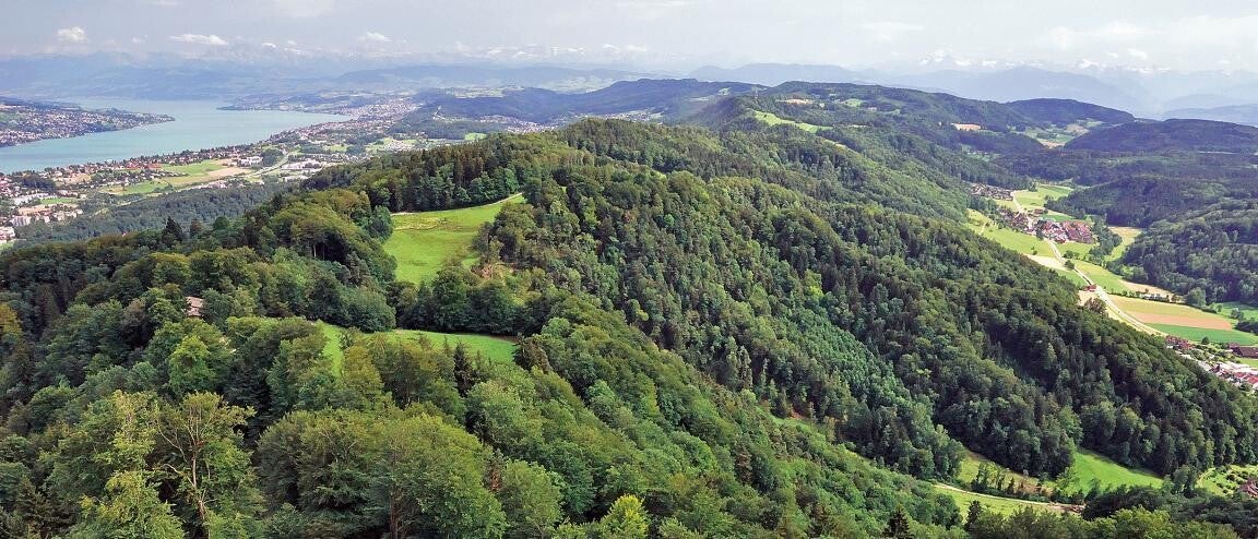 Kanton Zürich