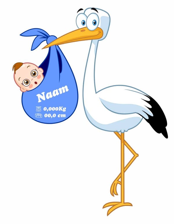 Ooievaar Jongen