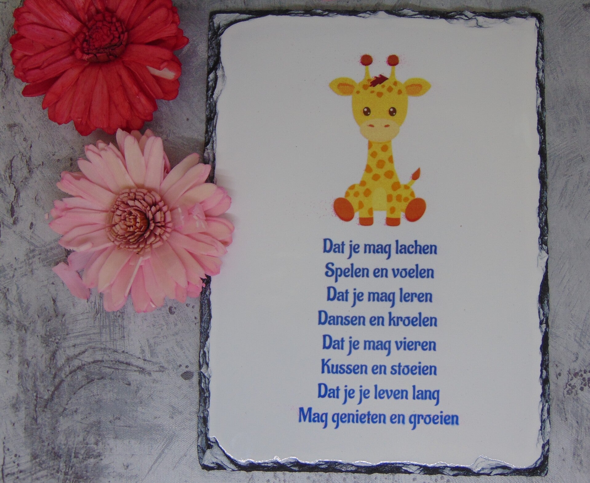 Geboorte leisteen Giraf + tekst