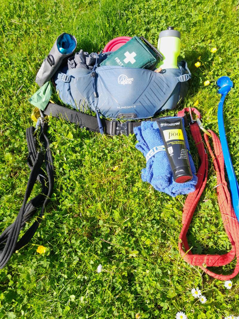 Dog walking utility belt