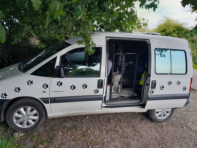 Dog walking van