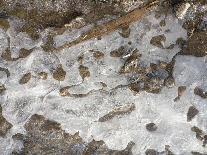 bevroren plasje water