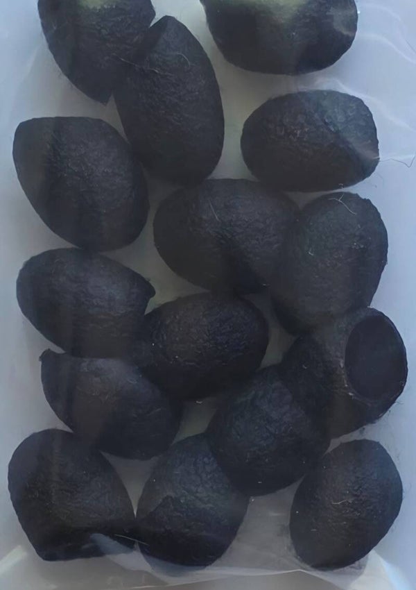 Zijde cocons 729 zwart