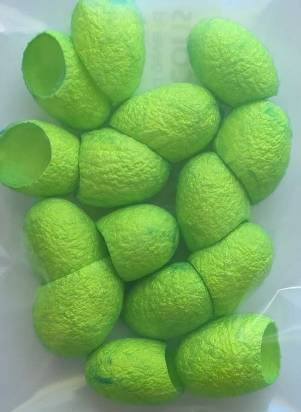 Zijde cocons 732 groen