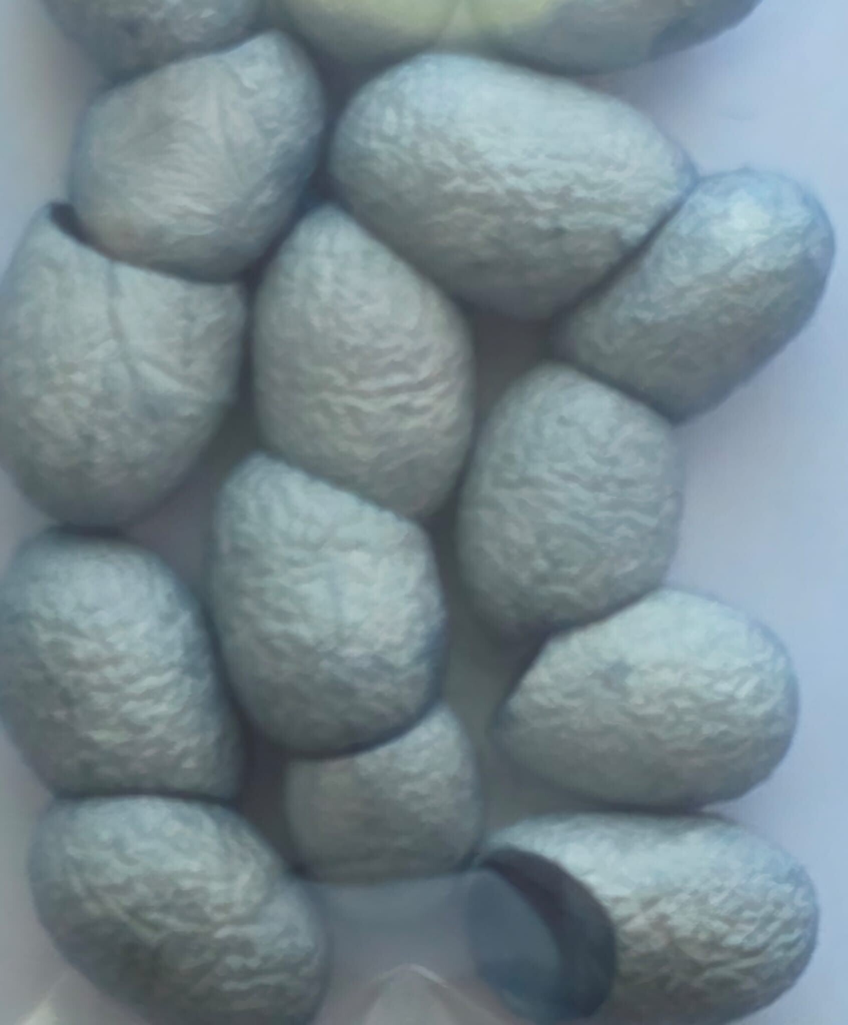 Zijde cocons 740 grijs