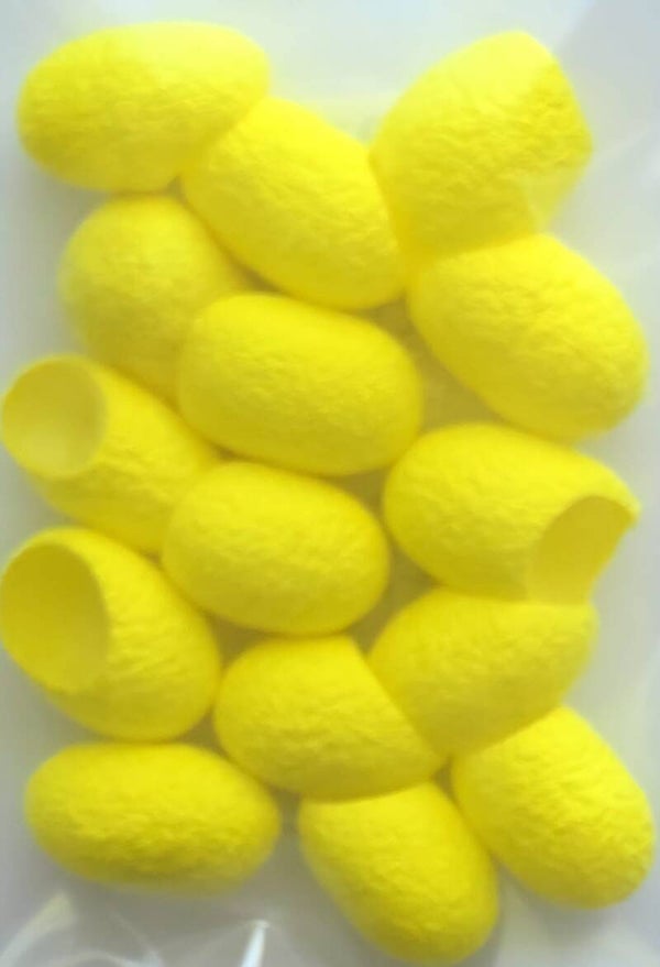 Zijde cocons 741 geel