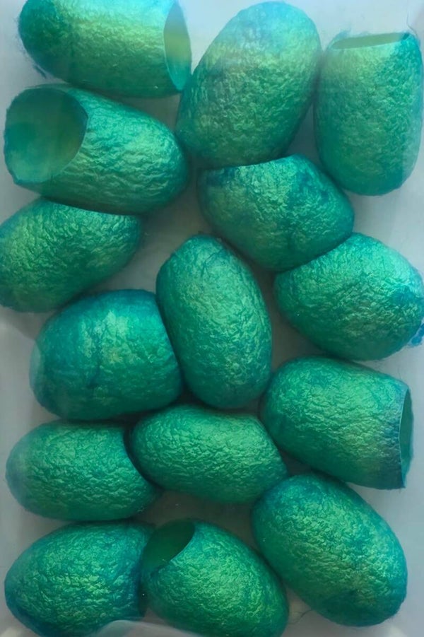 Zijde cocons 749 groen