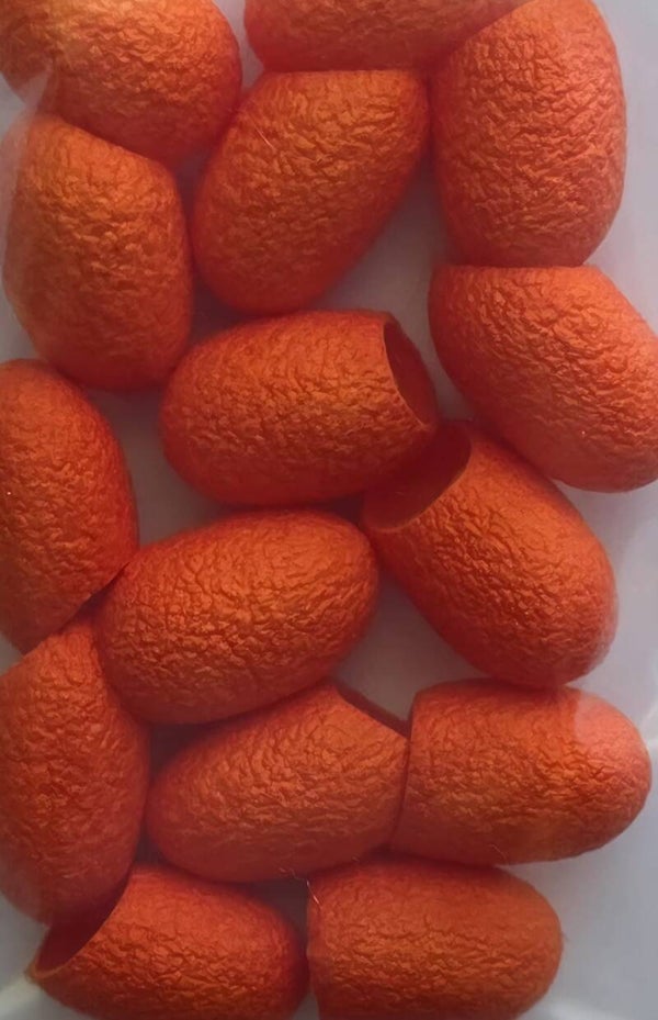 Zijde cocons 752 oranje