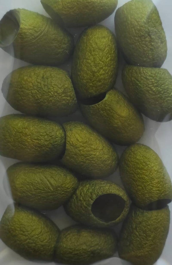 Zijde cocons 753 groen