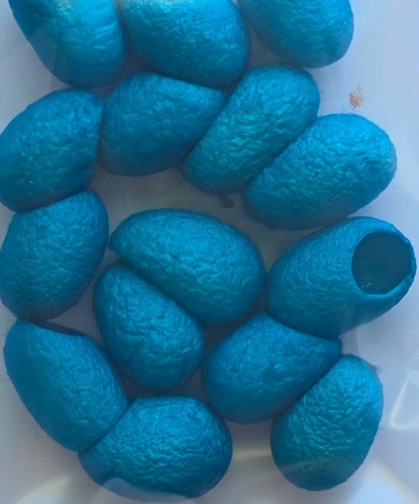 Zijde cocons 755 turquoise