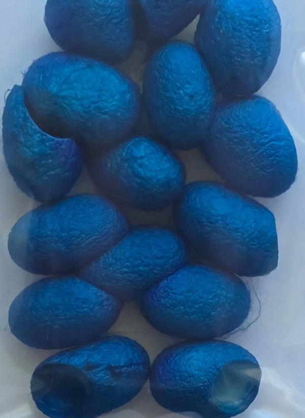 Zijde cocons 756 blauw
