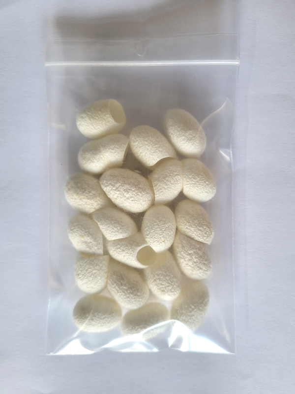 Zijde cocons naturel 20 stuks