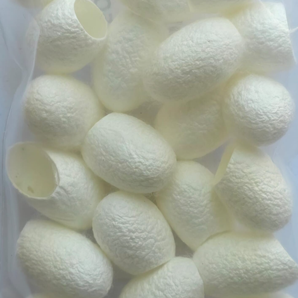 Zijde cocons naturel 20 stuks
