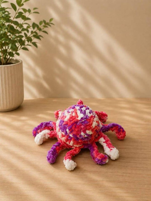 octopus