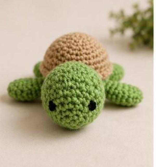 turtle