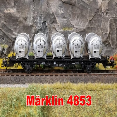 4853.jpg