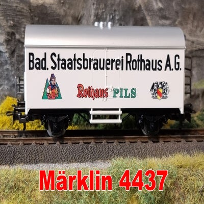4437-1.jpg