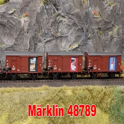 48789.jpg
