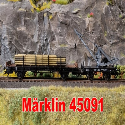 45091.jpg