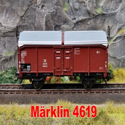 4619.jpg