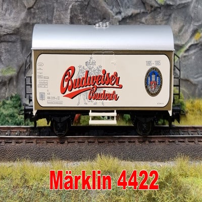 4422.jpg