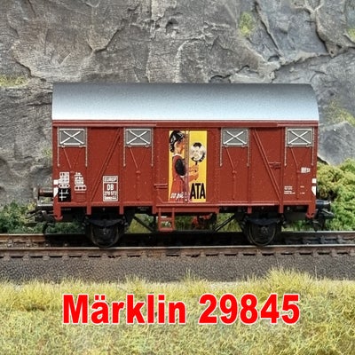 29845.jpg