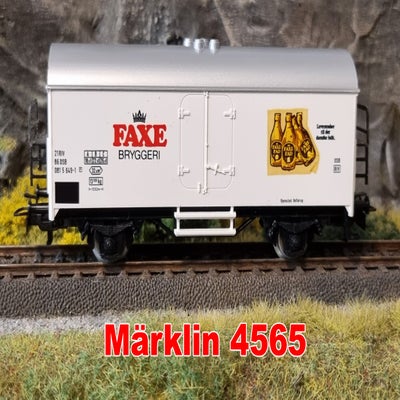 4565.jpg