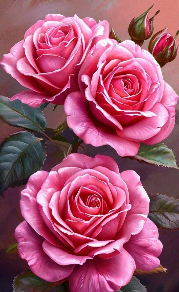 Rosen 60x80cm