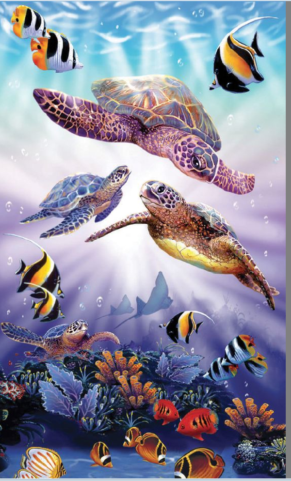 3er Schildkröte 60x100cm