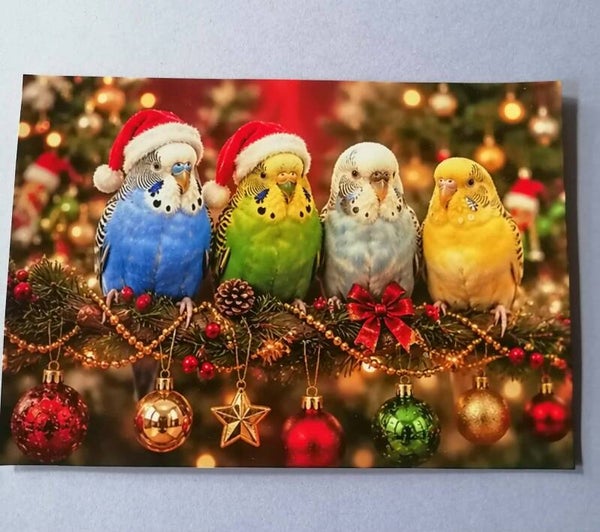 Tierische Weihnachten - Motiv Karten