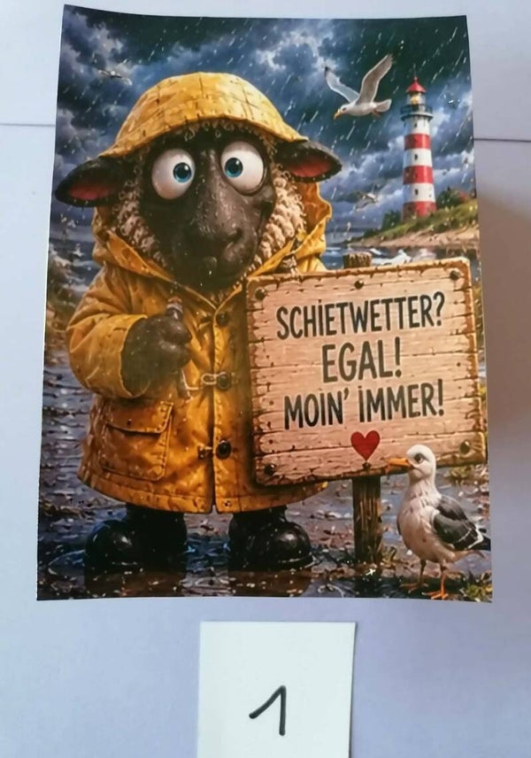 Verrückte Nordsee-Motivkarten