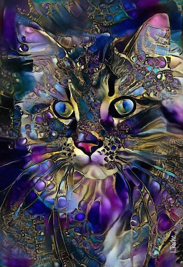 die bunte Katze 50x70cm
