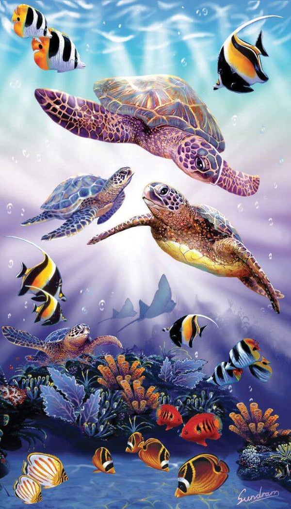 3er Schildkröte 60x100cm