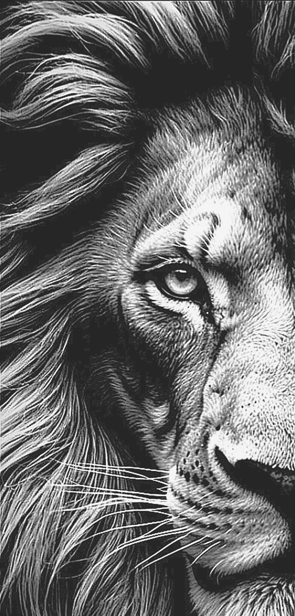 Löwe schwarz/weiß  50x100cm