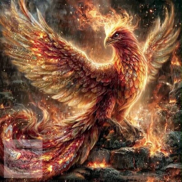 Phönix 80x80cm