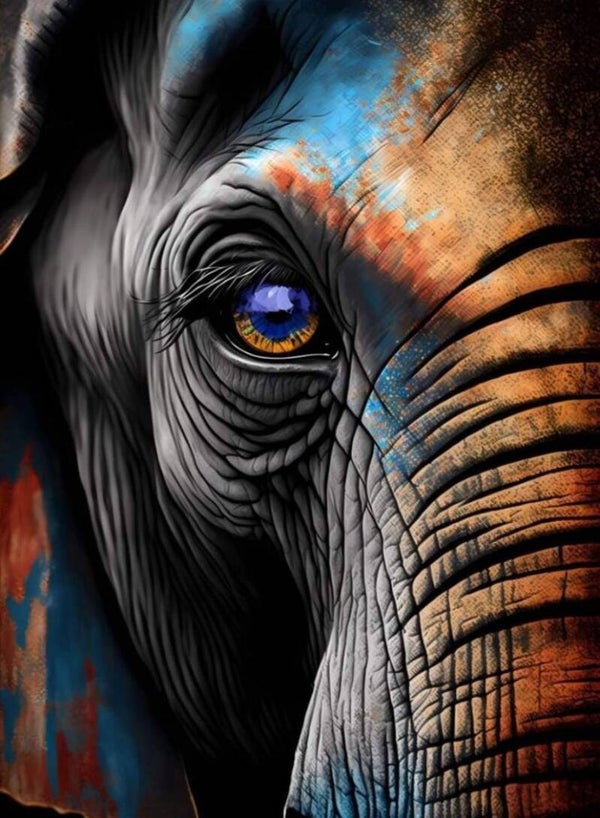 Elefant 60x80cm